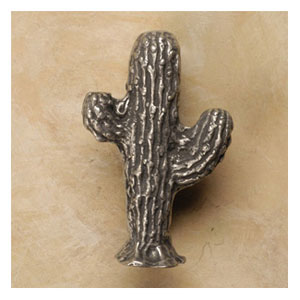 Anne at home 372 Saguaro cactus knob